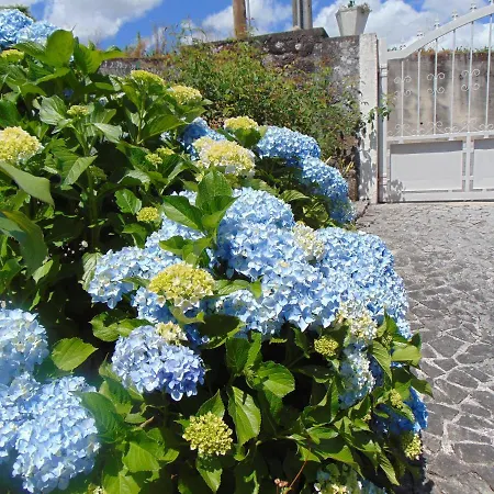 בית כפרי Casa Rebelo Cossourado (Braga)