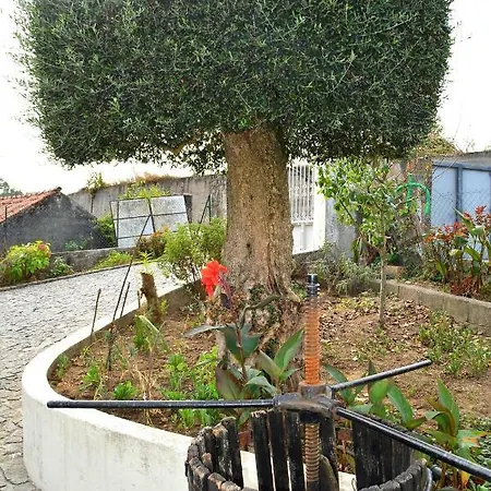 Casa Rebelo Venkovský dům