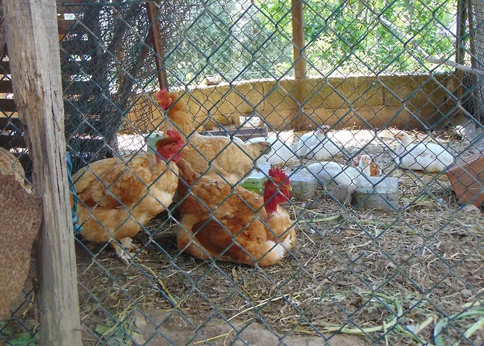 Casa Rebelo * Cossourado (Braga)