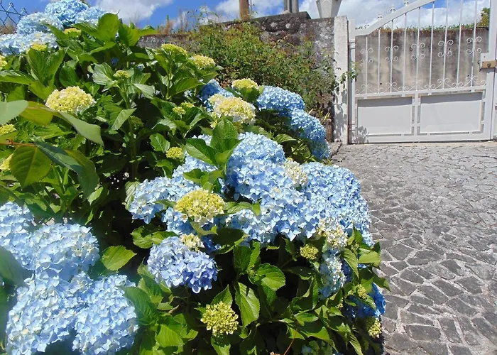 Casa di campagna Casa Rebelo Cossourado (Braga)